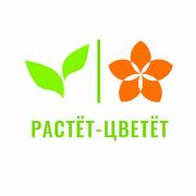 Растет Цветет